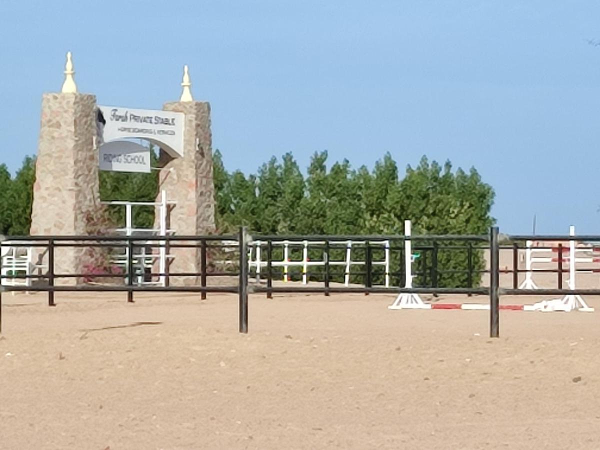הורגהדה Joynant-Gouna Kite Road-2Room Mangroovy Free Beach Access - Pool View- מראה חיצוני תמונה